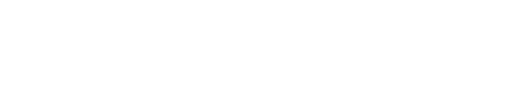 Logo Patrick Schlebes aka TradingLeichtmacher | Fokustraining + Coaching + Mentoring